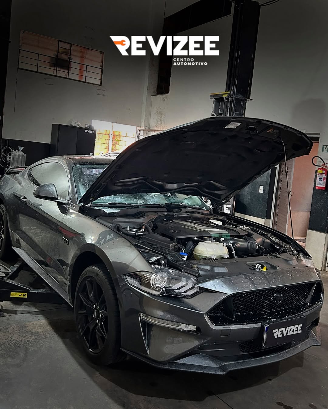 Trabalho Revizee 2